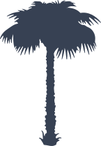 Pretty Palm Tree Sticker
