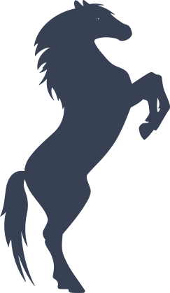 Pretty Powerful Horse Sticker