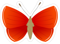 Pretty Red Butterfly Sticker