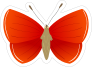 Pretty Red Butterfly Sticker