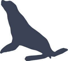 Pretty Sea Lion Seal Sticker