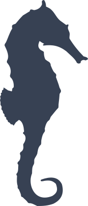 Pretty Seahorse Sticker