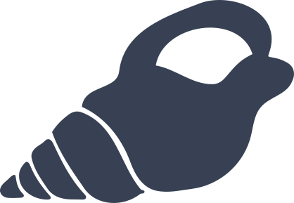 Pretty Seashell Sticker