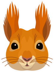 Pretty Squirrel Face Forest Animal Icon Sticker