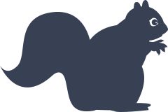 Pretty Squirrel Sticker