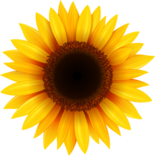 Pretty Sunflower Sticker