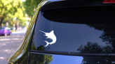 Pretty Swordfish Fishing Sticker on a Rear Car Window (New) example