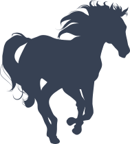 Pretty Wild Horse Sticker