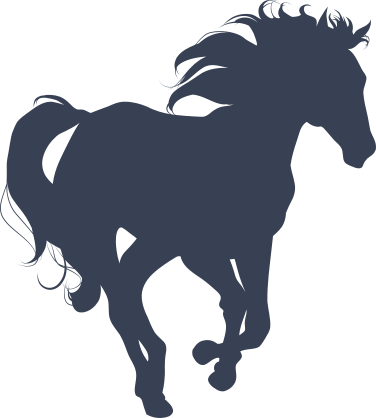 Pretty Wild Horse Sticker