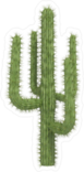 Prickly Tall Cactus Sticker