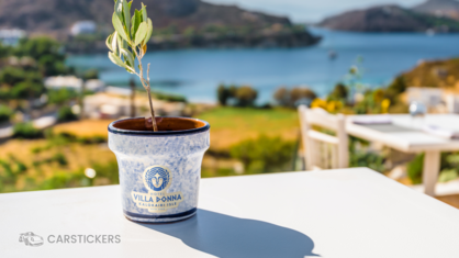 Printed Wood Sticker on Potted Plant