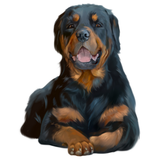 Propper Rottweiler Sticker