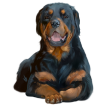 Propper Rottweiler Sticker
