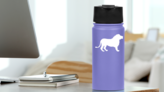 Proud Lion Sticker on a Water Bottle (New) example