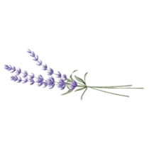 Provence Herbs Sticker