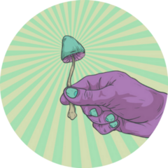 Psychedelic Mushroom In Hand Green Pop Art Sticker