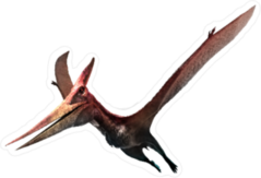 Pteranodon Illustration Sticker