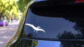 Pterodactyl Dinosaur Soaring Sticker on a Rear Car Window (New) example