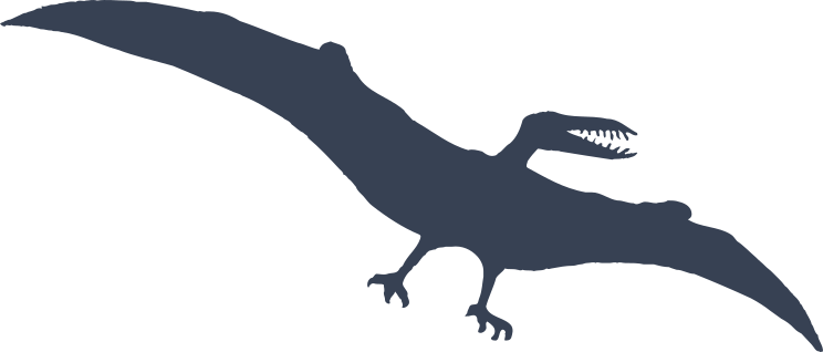 Pterodactyl Dinosaur Soaring Sticker