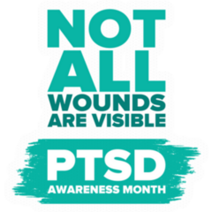 Ptsd Awareness Month In June Not All Visible Sticker