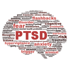 PTSD Word Cloud In Brain Shape Sticker 