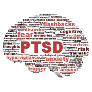 PTSD Word Cloud In Brain Shape Sticker 