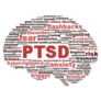 PTSD Word Cloud In Brain Shape Sticker 