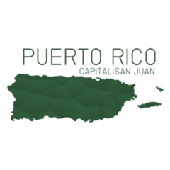 Puerto Rico Map Geometric Texture In Green Sticker