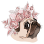 Pug A Rose Flower Head Sticker