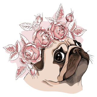 Pug A Rose Flower Head Sticker