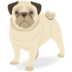 Pug Cartoon Sticker