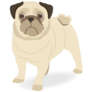 Pug Cartoon Sticker