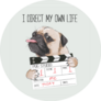 Pug Director Sticker