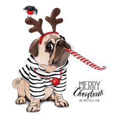  Pug Dog In A Striped Cardigan Sticker