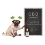 Pug Dog With Hemp Leaves Cbd Dropper Bottle Sticker