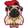 Pug Dog With Hip Hop Style Sticker