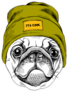 Pug In A Snow Hat Sticker