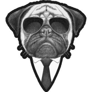 Pug In Black Sticker