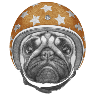 Pug In Helmet Sticker