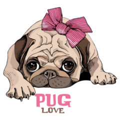 Pug Love Bow Sticker 