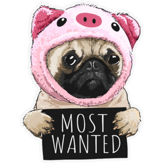 Pug Most Wanted Sticker