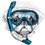 Pug Snorkeling Sticker