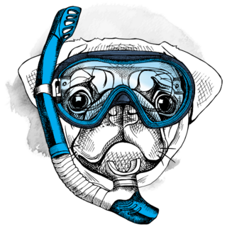 Pug Snorkeling Sticker