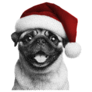 Pug Wearing A Santa Hat Smile Sticker