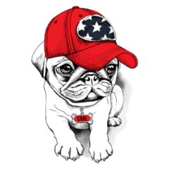 Pug With A Red Hat Sticker