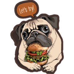 Pug With Burger Sticker