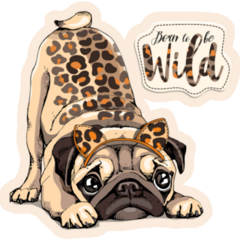 Pug With Leopard Skin Sticker