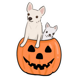 Pumpkin Chihuahuas Sticker 