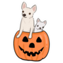 Pumpkin Chihuahuas Sticker 