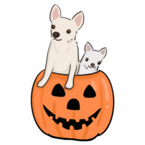 Pumpkin Chihuahuas Sticker 